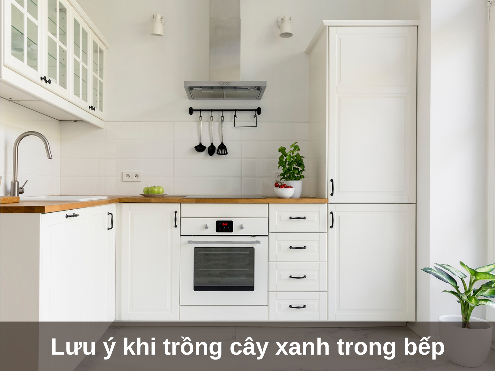 Luu y quan trong khi trong cay xanh trong phong bep