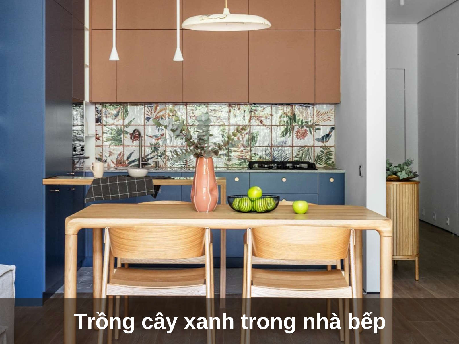 Co nen trong cay xanh trong nha bep hay khong