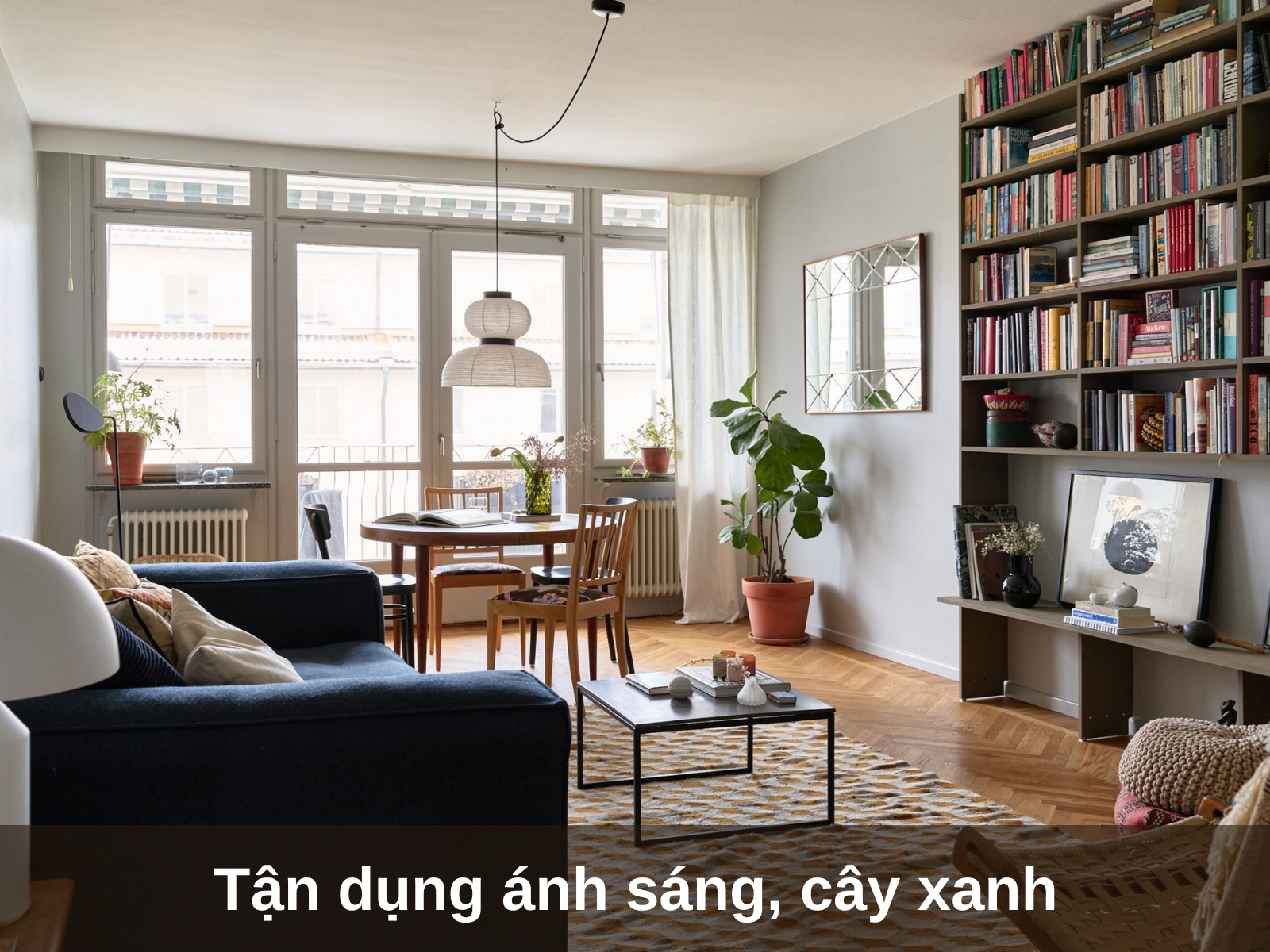 tan dung anh sang cay xanh