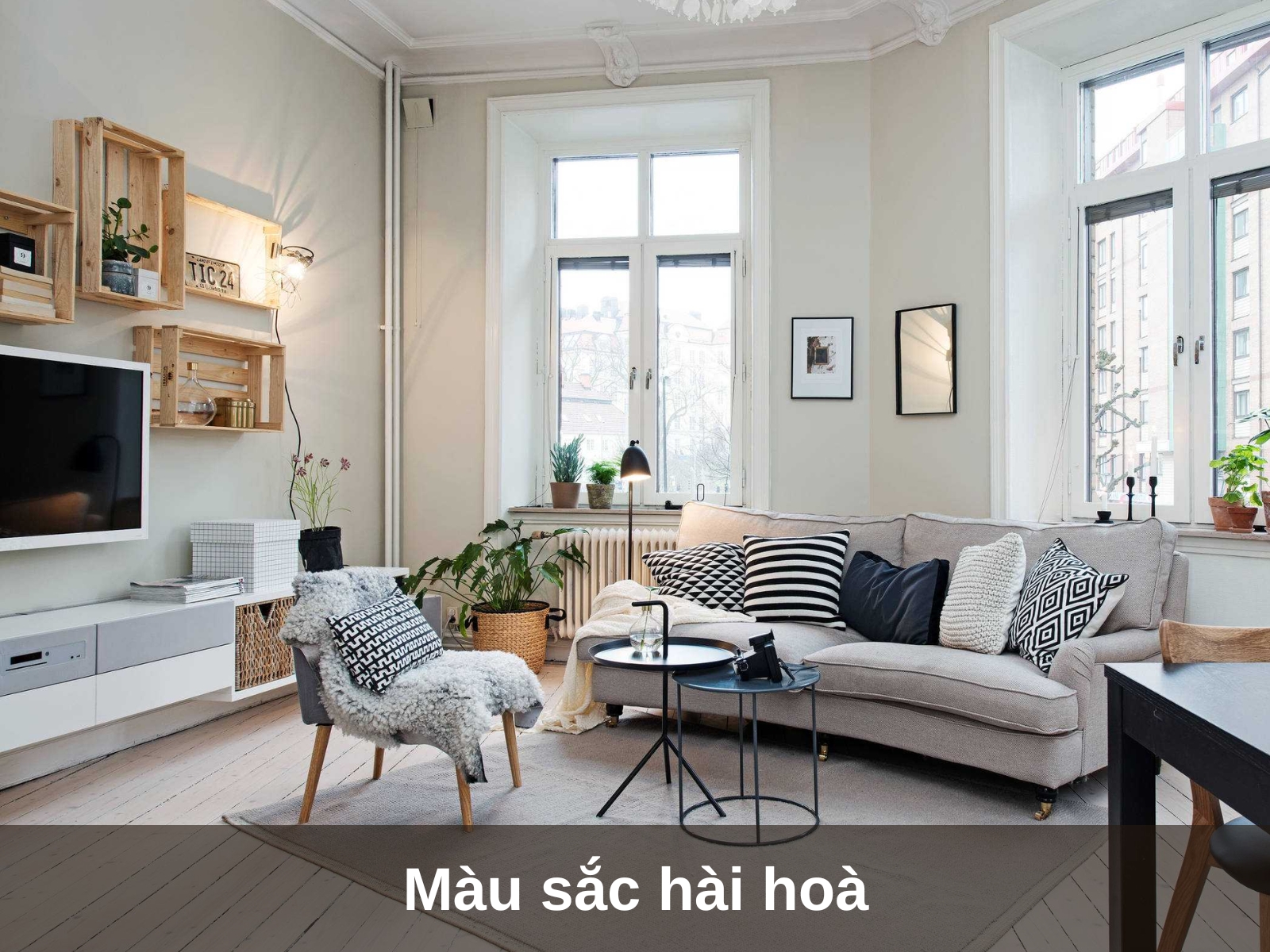 mau sac hai hoa