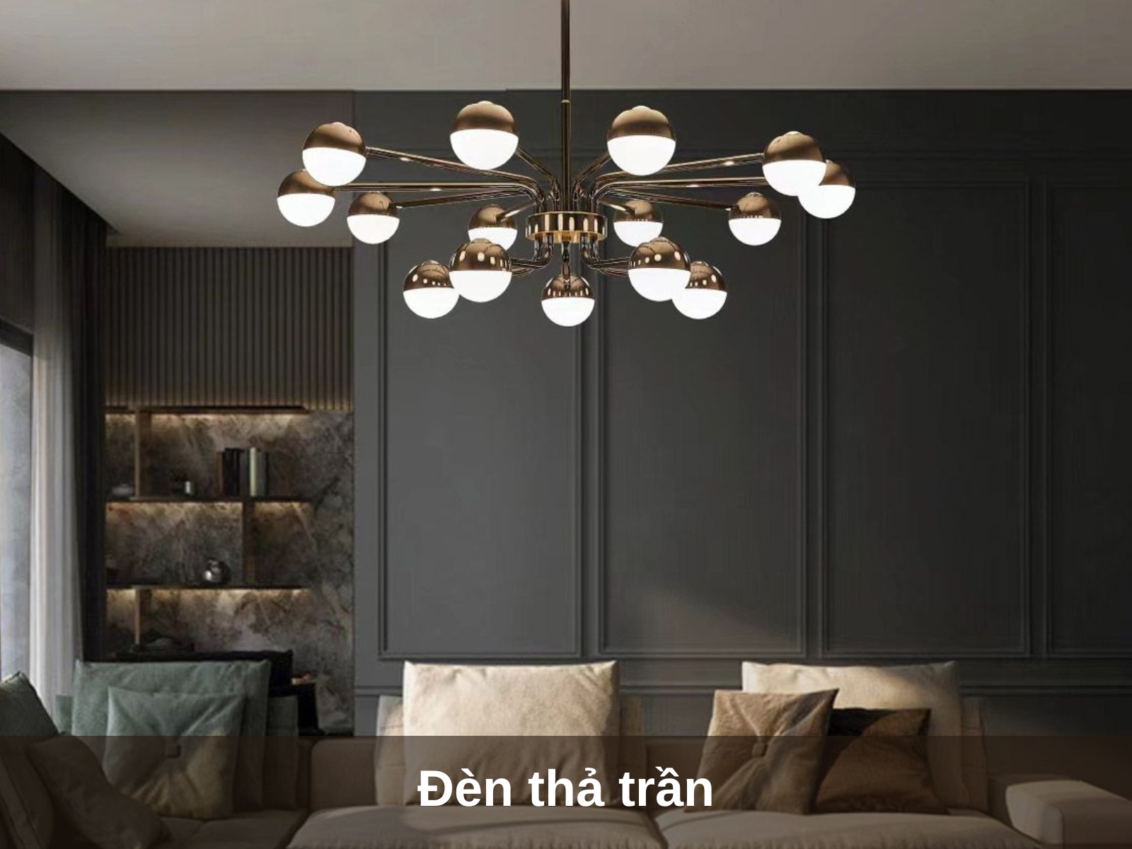 Den tha tran
