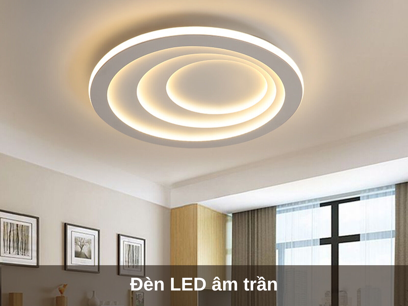 Den LED am tran