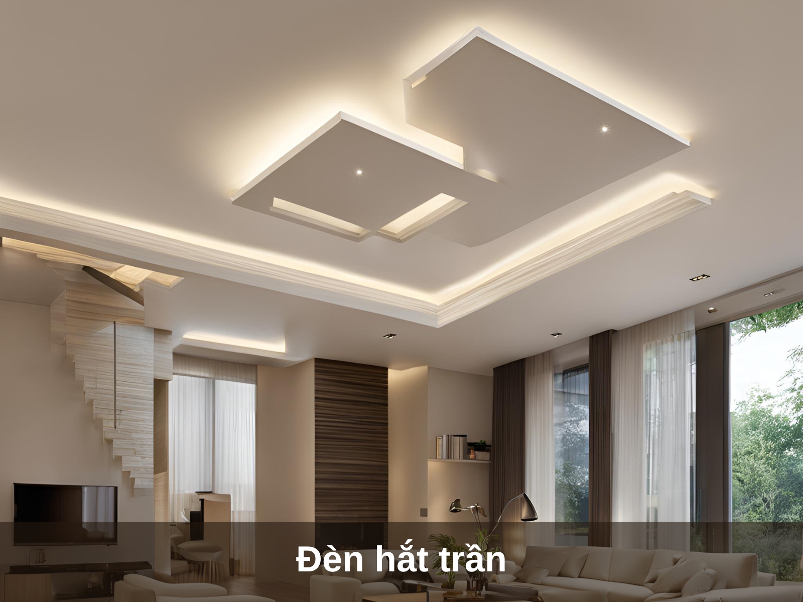 Den hat tran