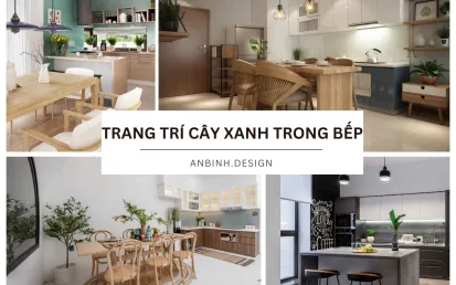 Có nên trang trí cây xanh trong phòng bếp? [GIẢI ĐÁP]